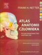 Atlas anatomii człowieka Nettera (polskie mianownictwo anatomiczne)