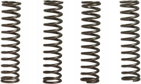 Ebc Sprężyny Sprzęgła Kawasaki Zx-6R 600 Ninja 95-02 7459266