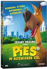 Zdjęcie Pies W Rozmiarze XXL [DVD] - Środa Wielkopolska
