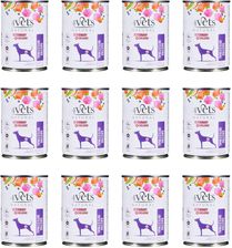 4Vets Natural Gastro Intestinal 12x400g