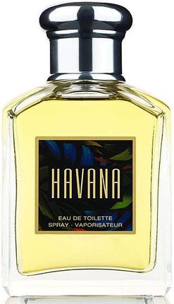 アラミスHAVANA Eau de Toilette スプレー式　110ml アラミスHAVANA Eau de Toilette スプレー式 110ml ハバナ