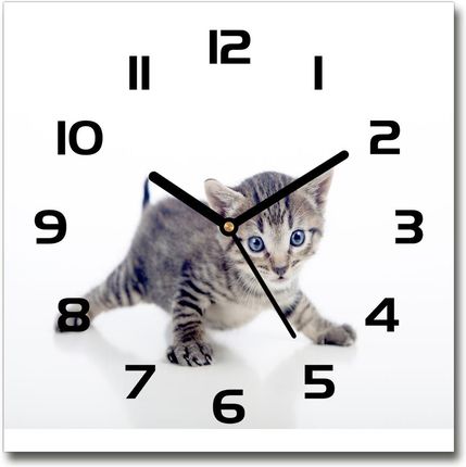 Wallmuralia.Pl Zegar Ścienny Szklany Kwadratowy Mały Kot (Plzsk30X30Cf95620650)