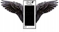 Zdjęcie Jolash Rzęsy Black Feather Volume D, 0,07, 11mm - Jeziorany