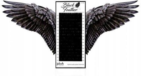 Jolash Rzęsy Black Feather Volume D, 0,07, 11mm