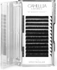 Zdjęcie Wonder Lashes Rzęsy Camellia Spectacular 0,07, D - Libiąż