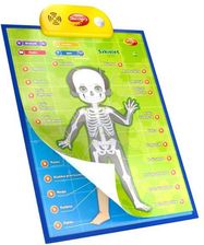 Zdjęcie Dumel Edukacyjne Plakaty Człowiek Anatomia - Ruda Śląska