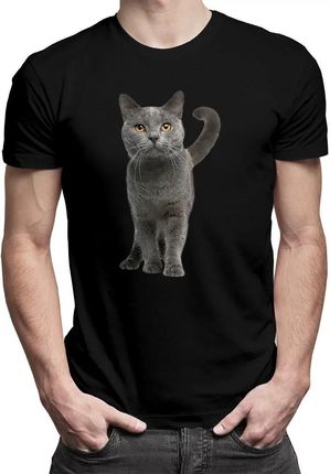 Koszulkowy.Pl Kot Brytyjski - Męskakoszulka Z Nadrukiem