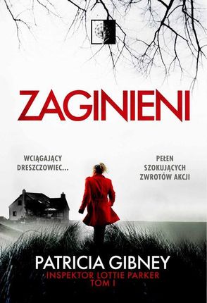 Zaginieni (E-Book)