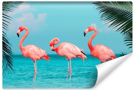 Muralo Fototapeta Flamingi Morze 3D 90x60
