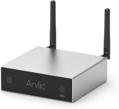 Zdjęcie Arylic A50+ - Świebodzin