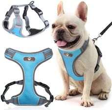 Zdjęcie Szelki treningowe spacerowe dla psa ASTRO błękitne rozmiar S - Słupsk