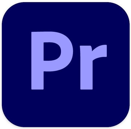 Adobe Systems Premiere Pro CC (Subscription for teams Multiple Platforms Multi European Languages 1 User Government), Liczba licencji (65310090BC01B12