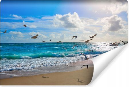 Muralo Fototapeta Plaża Morze Fale Mewy Pejzaż 3D 300x210 MF506SK300210