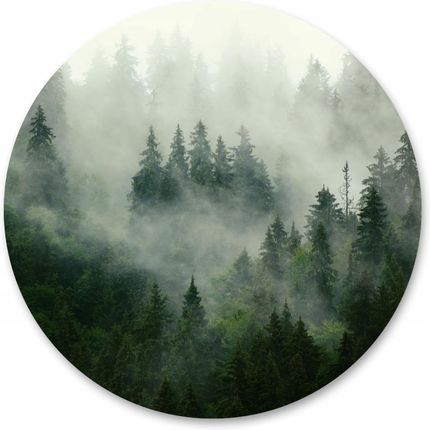Muralo Fototapeta W Kole Drzewa Mgła Krajobraz 3D 100x100 MF5483VE100O