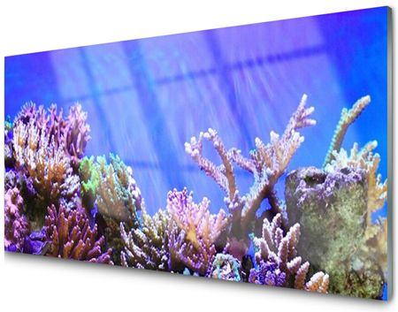 Tulup Panel Szklany Płytka Rafa Koralowa Morze 100x50 PLPK100X50NN47399911