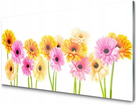 Tulup Panel Szklany Płytka Kwiaty Gerbery 100x50 PLPK100X50NN67006079