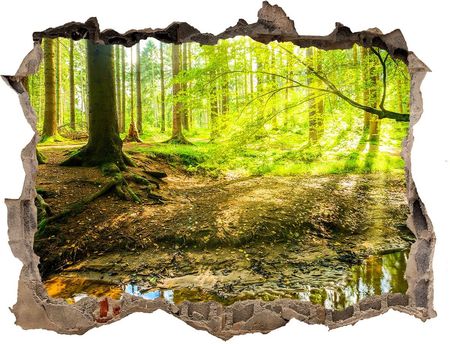 Naklejka fototapeta 3D na ścianę Sadzawka w lesie