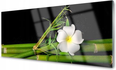 Tulup Panel Szklany Do Kuchni Bambus Kwiat 125x50 PLPK125X50NN219356128