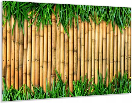 Alasta Panel Szklany Hartowany 90x60 Bambusowa Ściana