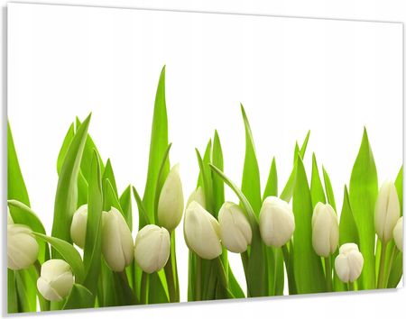 Alasta Panel Szklany Hartowany 90x70 Białe Tulipany