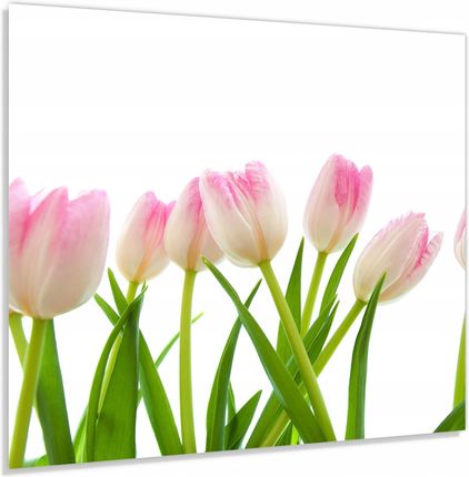 Alasta Panel Szklany Hartowany 70x60 Różowe Tulipany