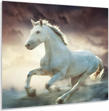 Alasta Panel Szklany Hartowany 60x50 Biały Koń We Mgle
