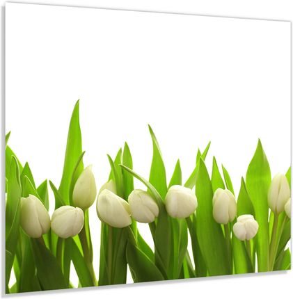 Alasta Panel Szklany Hartowany 60x50 Białe Tulipany