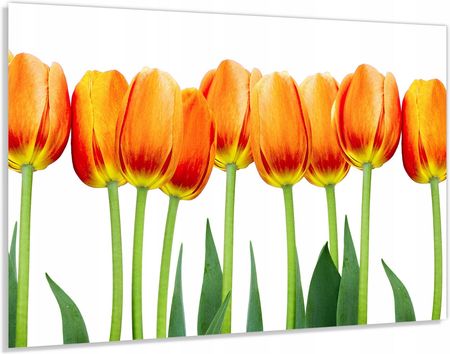 Alasta Panel Szklany Hartowany 90x70 Tulipany