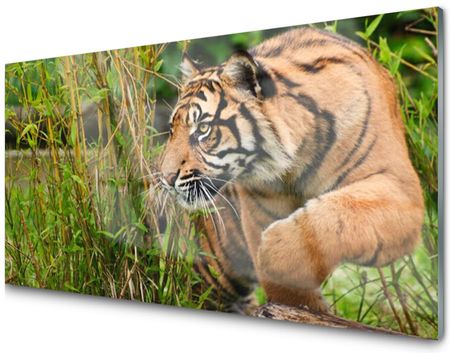 Tulup Panel Szklany Dekoracyjny Tygrys Zwierzęta 100x50 PLPK100X50NN43798700