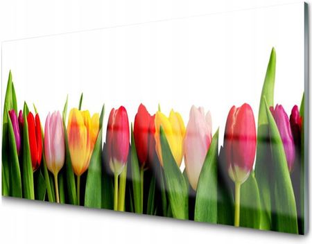 Tulup Panel Szklany Dekoracyjny Tulipany Roślina 100x50 PLPK100X50NN19871376