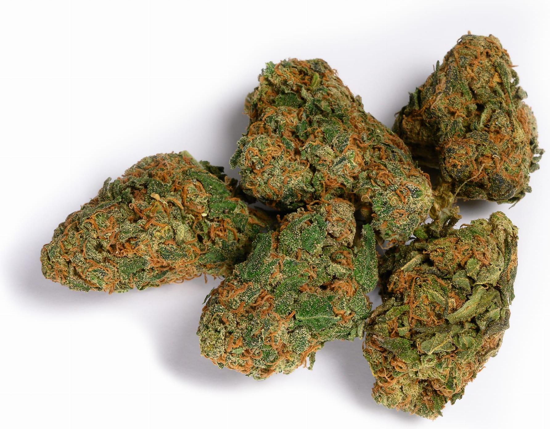 【sativa】Strawberry Cough 1ml CBD 11 Susz CBD Strawberry Cough - sklep CBD