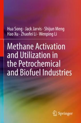 Methane Activation and Utilization in the Petrochemical and Biofuel Industries
