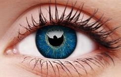 MAXVUE VISION SOCZEWKA KOLOROWA COLOURVUE GLAMOUR BLUE -5,50 9555644805210