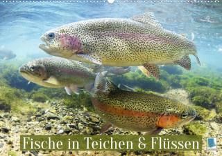 Fische in Teichen und Flüssen (Wandkalender 2023 DIN A2 quer