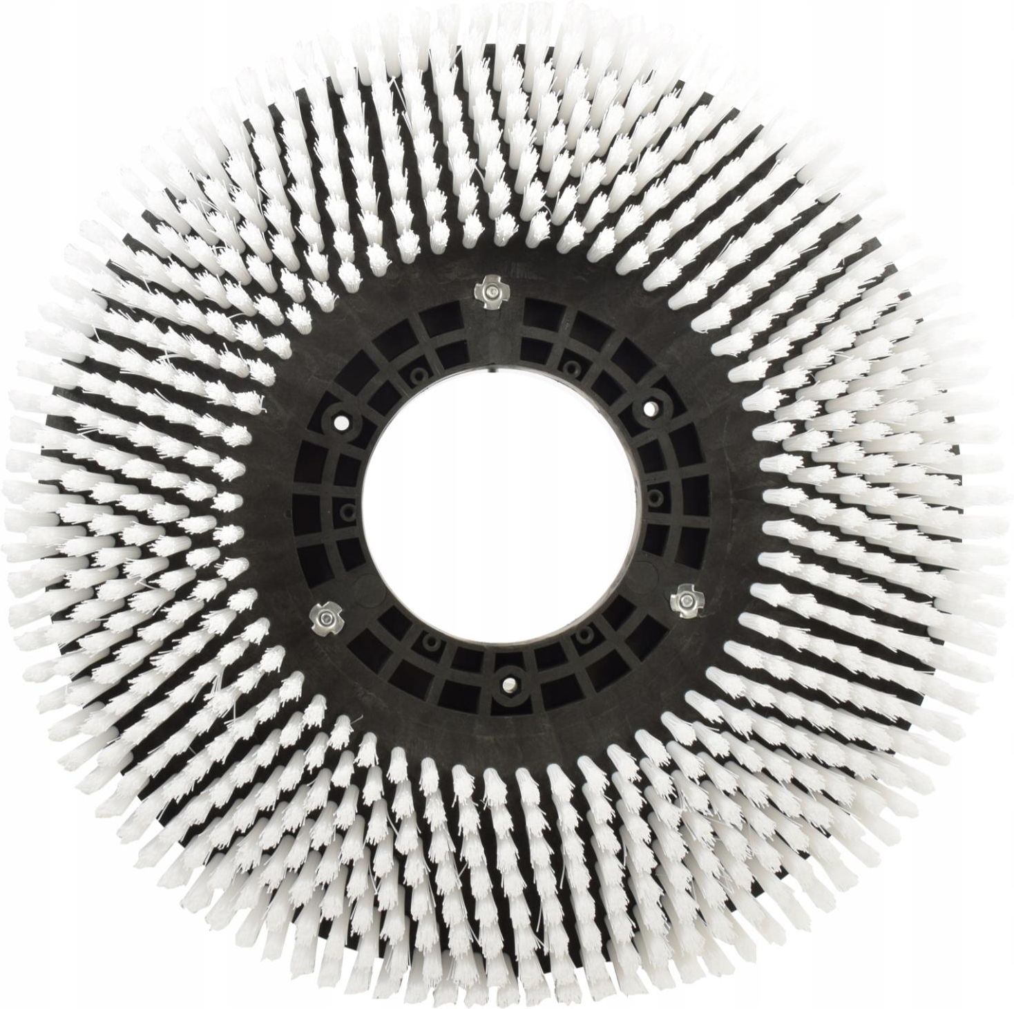 Brosse Exfoliante Standard Pour Comac C 100 L-Bs 4251350127466