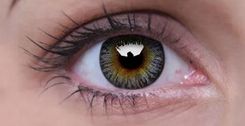 MAXVUE VISION SOCZEWKA KOLOROWA COLOURVUE 3 TONES GREY -5,50 9555644801021