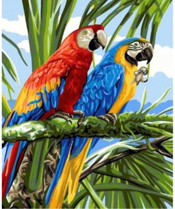 Norimpex Malowanie Po Numerach Papugi 40X50Cm 1006805
