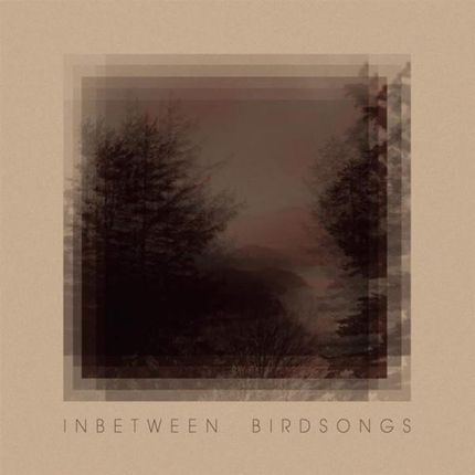Matthias Gusset: Inbetween Birdsongs (digipack) [CD]