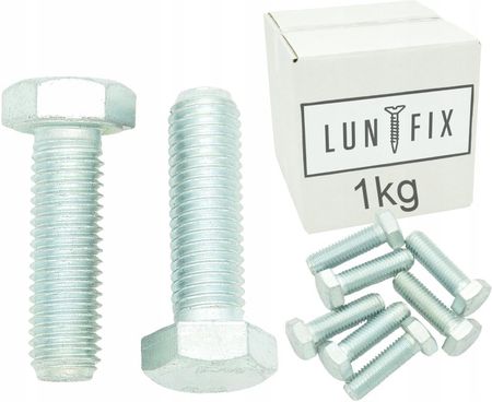 INNA LUNFIX M14X100 ŚRUBA METRYCZNA OCYNK KL.8.8 DIN933- 1 KG. S00037