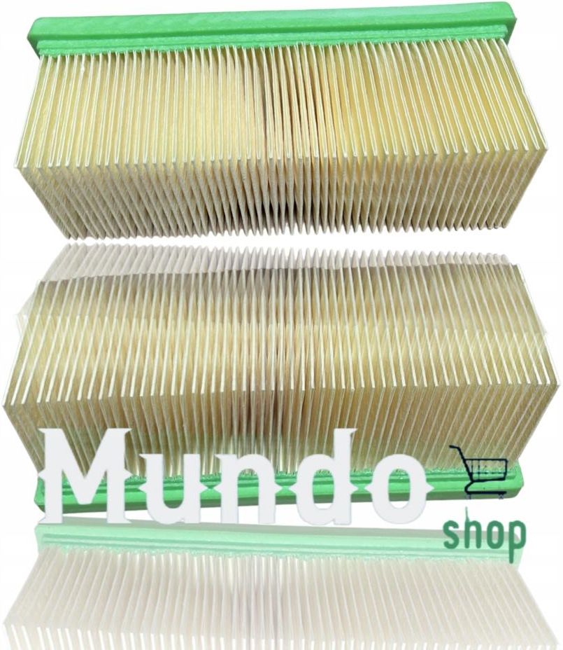 Filtro A Pieghe Piatte / HEPA Per Aspirapolvere Kärcher - Compatibile Con Modelli 2501, 2601, 3001, SE2001, SE3001, SE6100 E Molti Altri