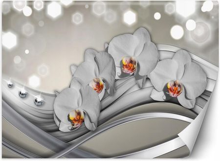 FEEBY (TOP) FOTOTAPETA ORCHIDEA FALE KWIATY ABSTRAKCJA 450X315