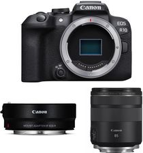 Canon EOS R10 + adapter EF-EOS R + RF 85mm F/2 Macro IS STM