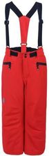 Zdjęcie Spodnie narciarskie dziecięce color kids ski pants czerwony - Błaszki