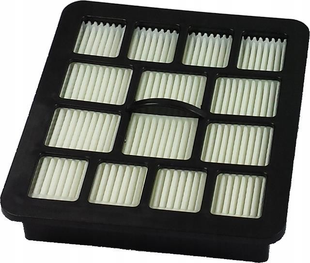 Filtro HEPA per aspirapolvere Hoover Telios Plus TE22 TE70