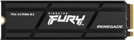 Kingston FURY Renegade 500 GB M.2 (SFYRSK500G)