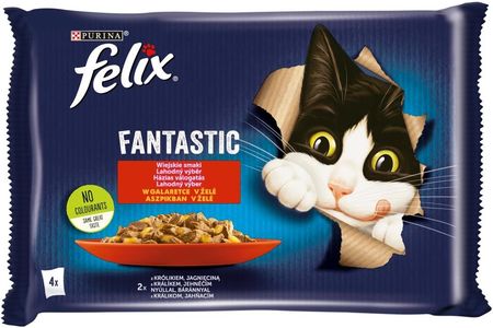 Felix Fantastic Karma dla kotów wiejskie smaki w galaretce 48x85g