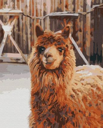 Symag Obraz Malowanie po numerach Lama na farmie