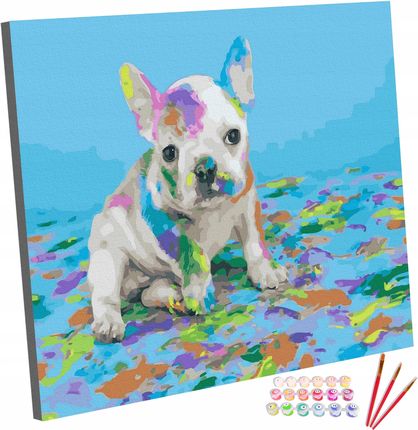 Obraz Malowanie Po Numerach Na Ramie 40x50cm Pies