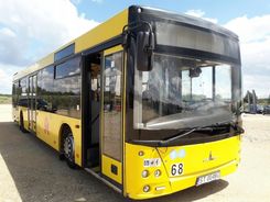 Maz 203069 - Autobusy