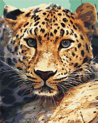 Malowanie po numerach Paint it! Gepard 40x50 cm